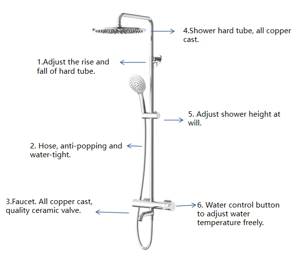 Shower holder