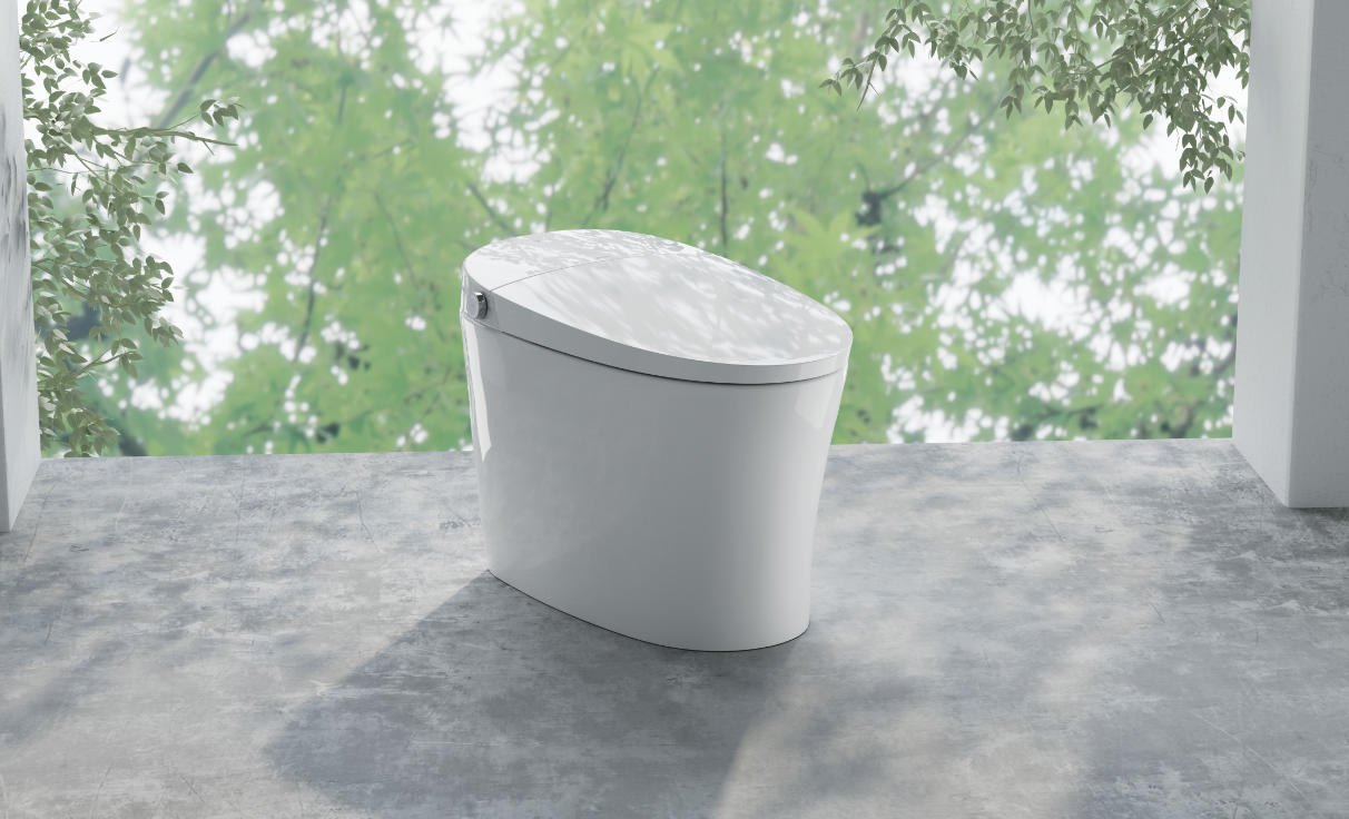 Complete Guide to Choosing a Intelligent Toilet